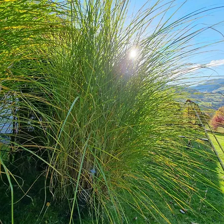 Stadler * Bad Hofgastein