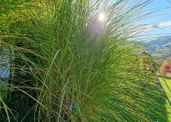 Stadler * Bad Hofgastein